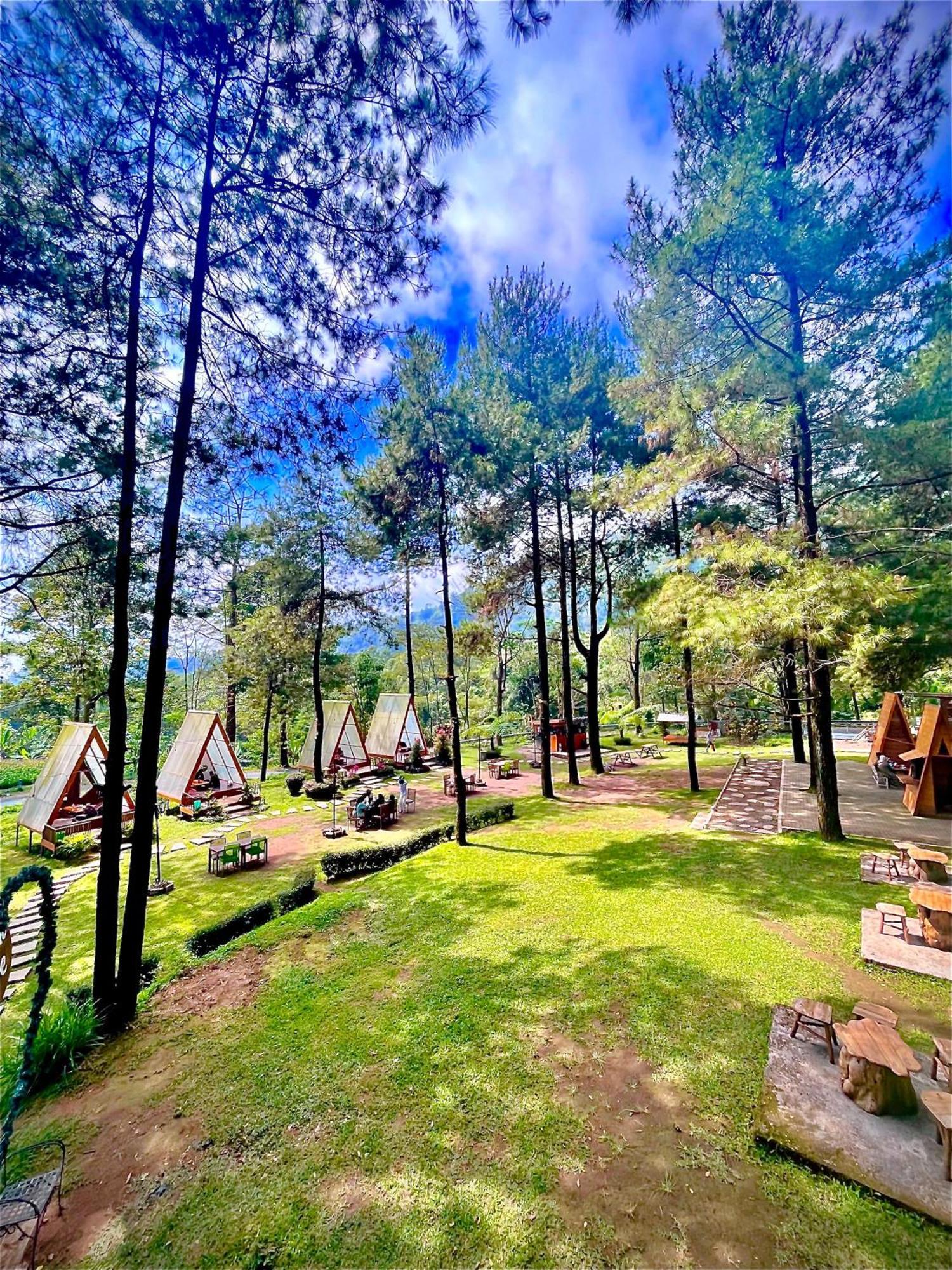 Grand Whiz Hotel Bromo Esterno foto