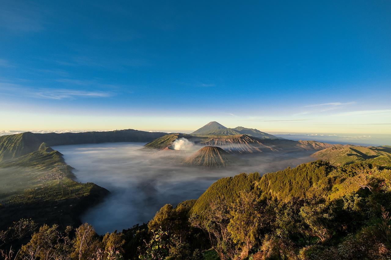 Grand Whiz Hotel Bromo Esterno foto